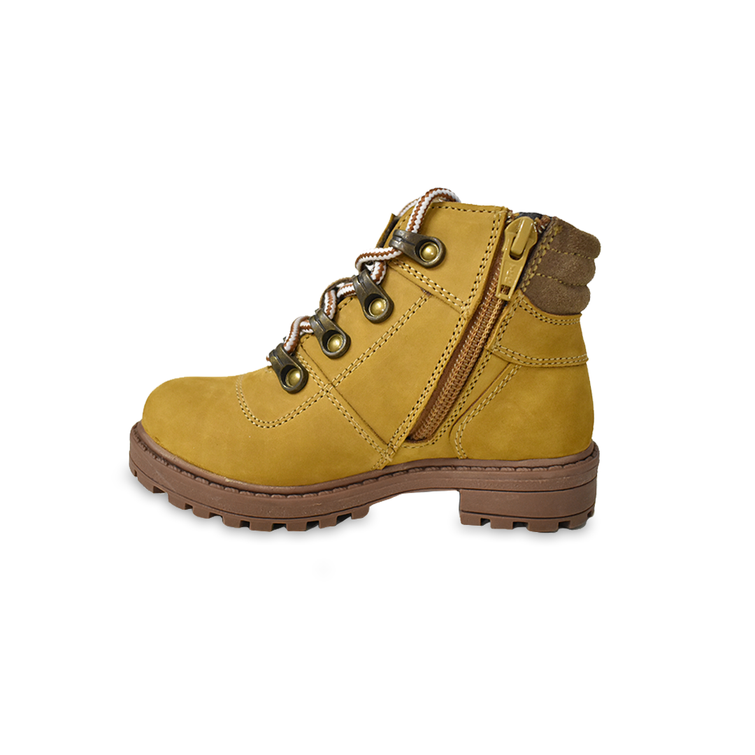 GP60910_2_45.png