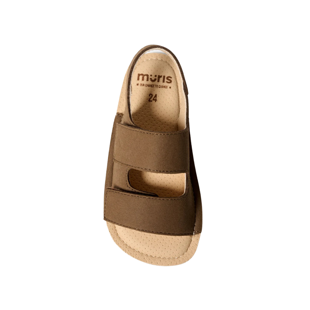 MURIOJR_4_651.png