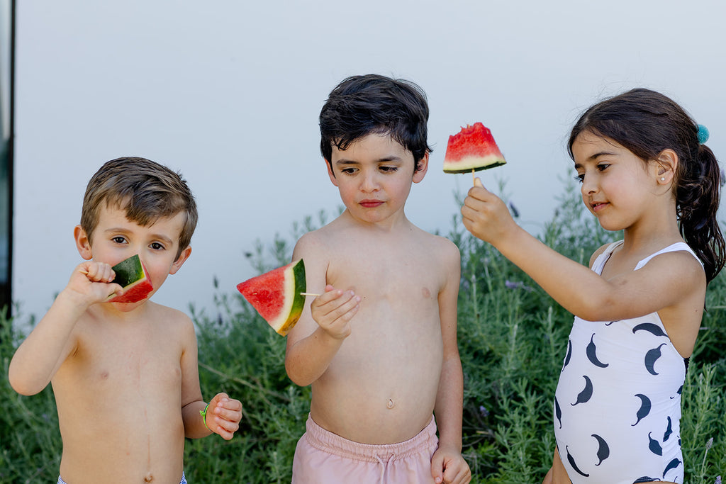 Sugestões de snacks saudáveis para o Verão