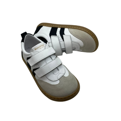 BDDELFIN_6_33.png