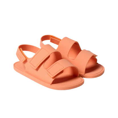 MUARUBAMN_6_650.png