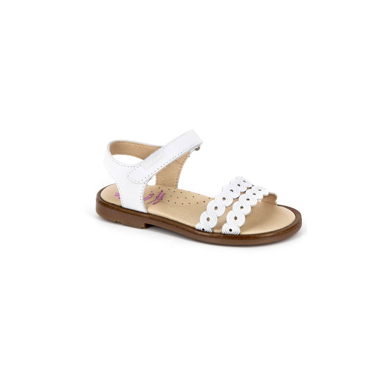 PK456000_1_33.jpg