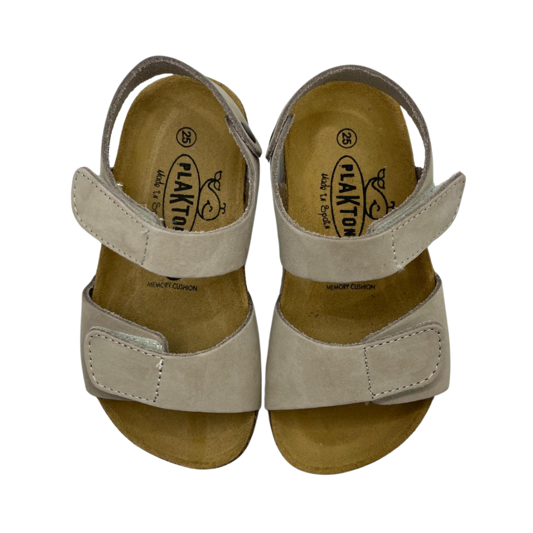 PT125459_2_244.png