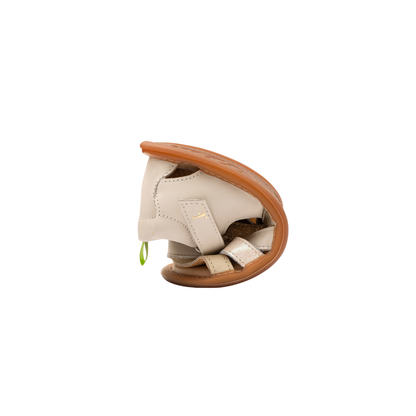 TJCRISSCROSS_3_633.png