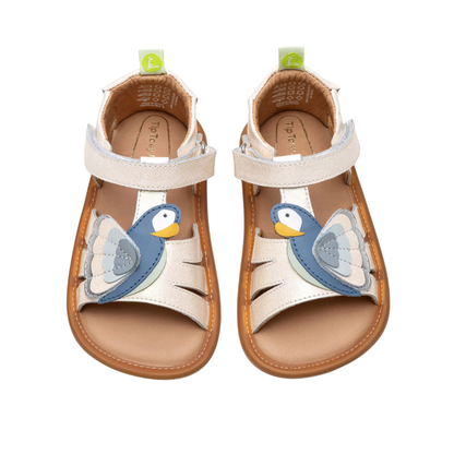 TJMACAW_2_632.png