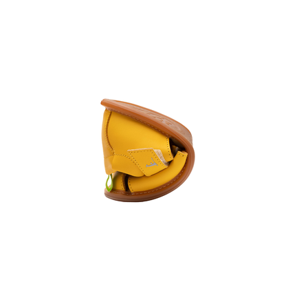 TJPARKY_7_631.png